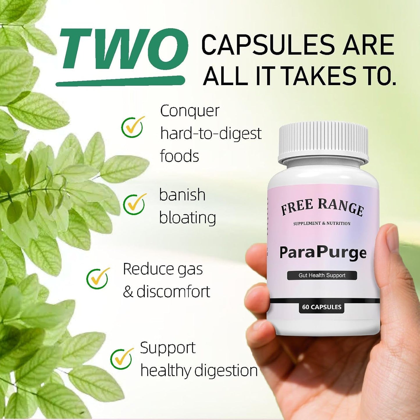 Gut Cleanse - Gut and Colon Support Supplement, Non-GMO Formula, 60 Capsules (1PCS)